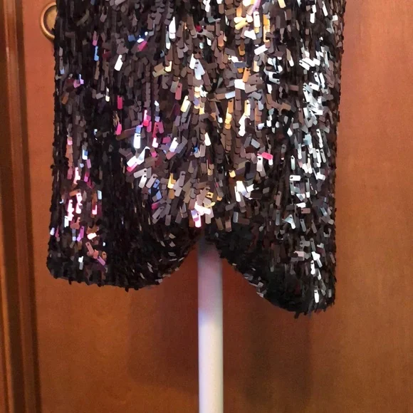 Sexy Express Silver Sequin Dress - Picture 16 of 16